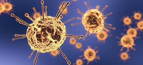 New coronavirus variant: Reconsider entry ban to UK, urges South Africa government