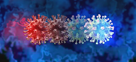 The hunt for coronavirus variants: how the new one was found and what we know so far