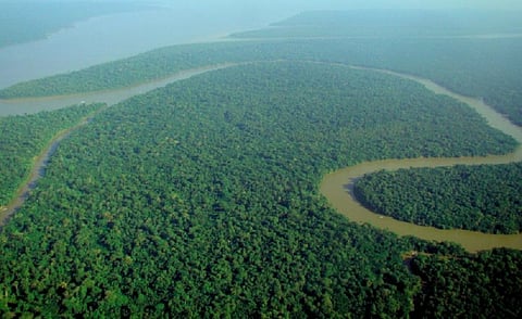 The dreaded rainforest shift