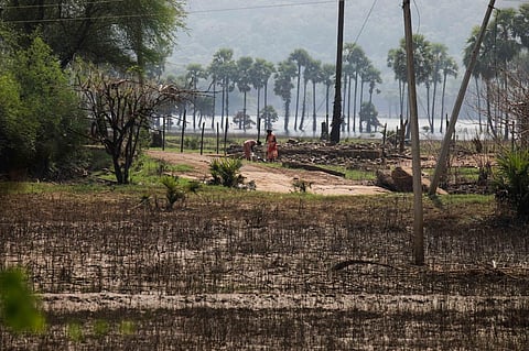 Destroyed agriculture fields and dilapidated houses dot the landscape of Dandangi village in East Godavari district. Photo: Vikas Choudhary
