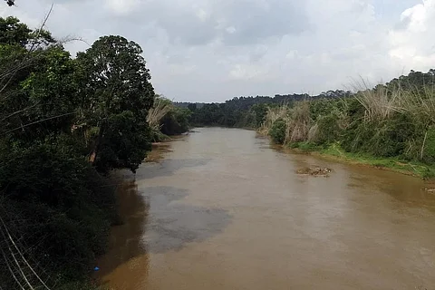 कावेरी के जल को जहरीला बना रहें हैं औषधीय अपशिष्ट और भारी धातुएं