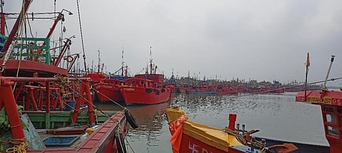 Fishing boats moored at the harbour in Paradip, ahead of Cyclone Jawad. Photo: Ashis Senapati