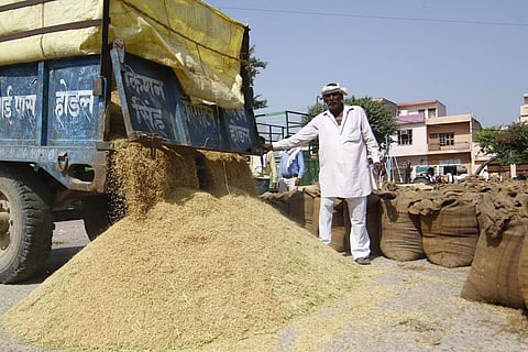 State after state fail to procure kharif paddy
