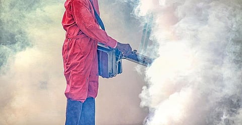 Mosquitoes in a warming world: Aedes the menace