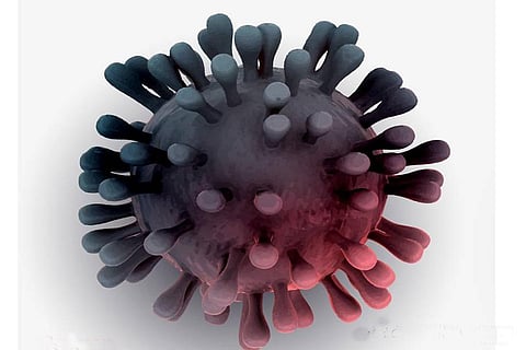 Omicron may already be in most countries, WHO warns