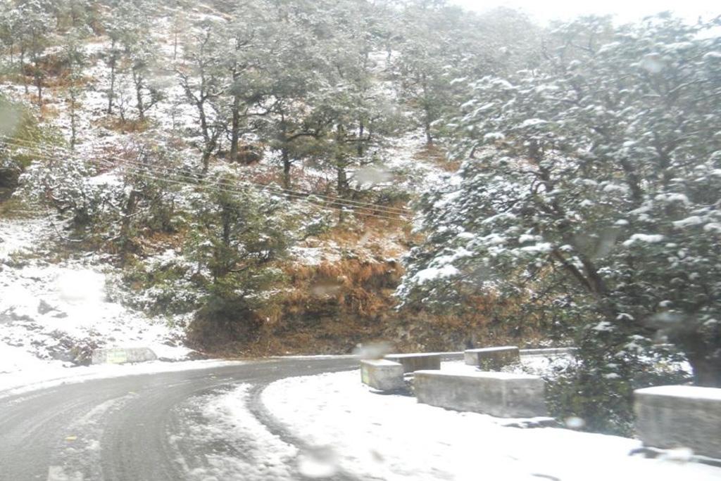 फोटो : विकिमीडिया कॉमन्स