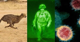 Looking back at 2021 through DTE's top 10 interviews