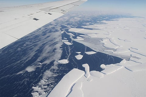 फोटो : विकिमीडिया कॉमन्स