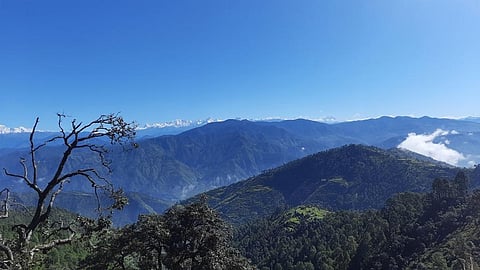 वर्ष 2021 का साल उत्तराखंड के लिए दुख भरा रहा। फोटो: वर्षा सिंह
