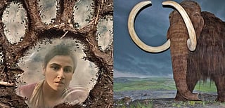 From Bolly to woolly: DTE’s top wildlife, biodiversity stories of 2021