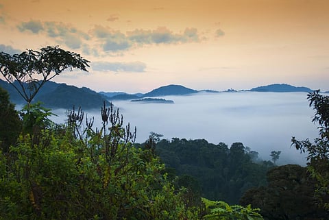 Significant increase in rainfall in north, central Africa: Study