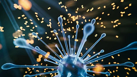 What is Omisure, India’s first RT-PCR kit that identifies omicron in under 4 hours
