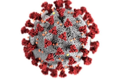 कोरोना का आईएचयू वेरिएंट पहली बार कब और कहां फैला, कितना खतरनाक है? यहां जानें