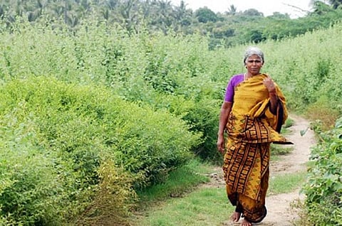 Photo: extraordinaryindianwomenblog