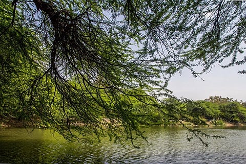 Enabling state machinery to protect Delhi’s wetlands: Operationalising state wetland authority