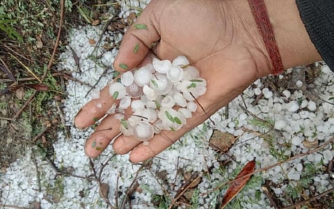 Hailstones in Madhya Pradesh farmer Sanjeev Prajapati's field January 9, 2022. Photo: Rakesh Malviya