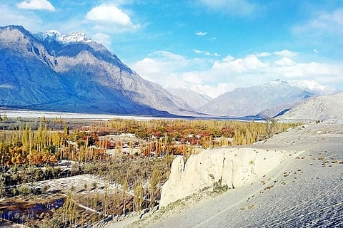 फोटो : विकिमीडिया कॉमन्स