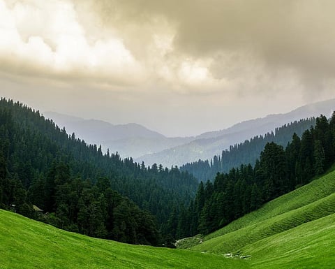 The total forest area of Himachal Pradesh, another mountainous state, has increased by 9 sq km. But there has been loss of open and moderately dense forest. Photo: istock