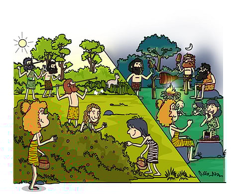 Reaping ripe: The story of why we celebrate harvest festivals