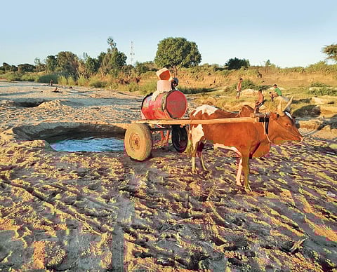 Water stress may intensify
tensions among countries
in Africa and lead to
conflicts and social unrest (Photograph Courtesy: World Food Programme)