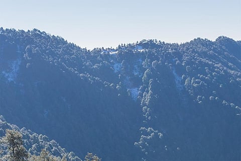 फोटो : विकिमीडिया कॉमन्स