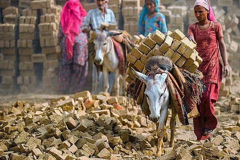 भारत के ईंट भट्टे में बोझ ढोते गधे; फोटो: द डोंकी सैंक्चुअरी
