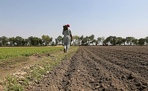 Mazhabi Sikhs, who constitute nearly one-third of the Dalit population in Punjab, are primarily dependent on agriculture. Photo: Vikas Choudhary / CSE