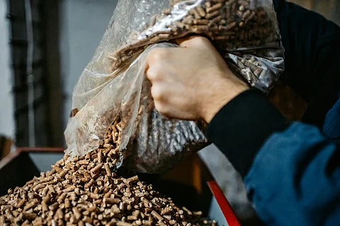 Union Budget 2022-23: National biomass co-firing policy mooted by CSE in focus