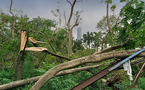 Devastation caused by Cyclone Yaas in Kolkata. Photo: iStock