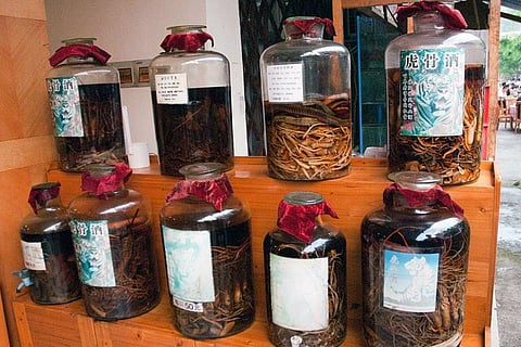 जंगली जीवों से फैलने वाली बीमारियों से हर साल मर रहे हैं 33 लाख लोग, ऐसे हो सकता है बचाव