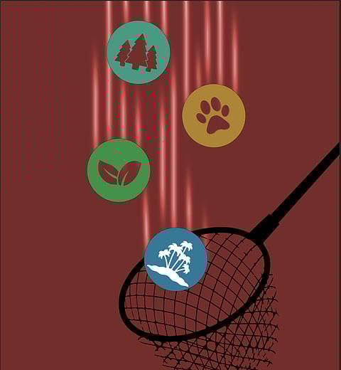 Consolidate clearances: 4 steps for effective green governance