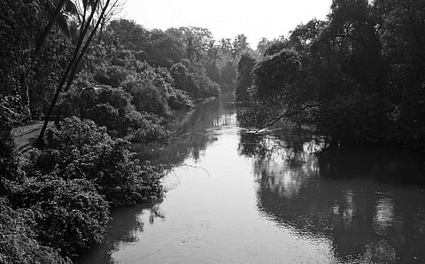 The lush green village of Moira in Bardez taluka, North Goa district. Photo: Frederick Noronha