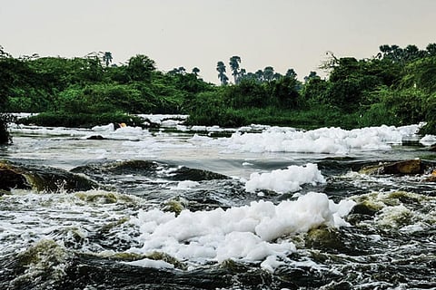 फोटो :चेंजिंग मार्केट्स फाउंडेशन