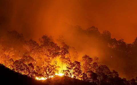 A wildfire. Photo: iStock