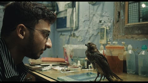 All That Breathes: Ecological conscience at the heart of Shaunak Sen's Sundance-winning documentary