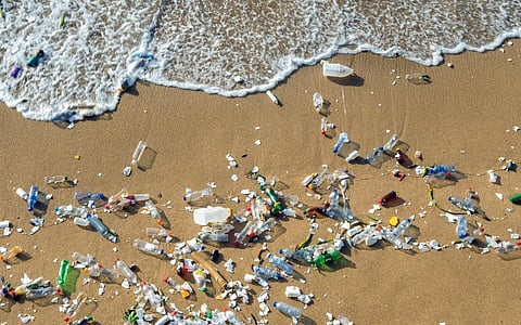Marine plastic litter is a global problem now. Photo: iStock