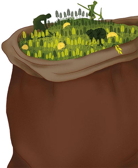 Illustration: Ritika Bohra