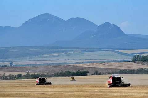 How Russia-Ukraine conflict could influence Africa’s food supplies