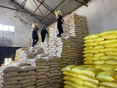 Himachal plagued by fertiliser scarcity as apple season peaks