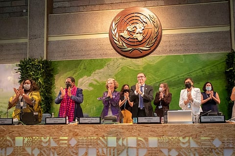 UNEA 5.2: Excitement, jubilation as resolution to end plastic pollution by 2024 adopted