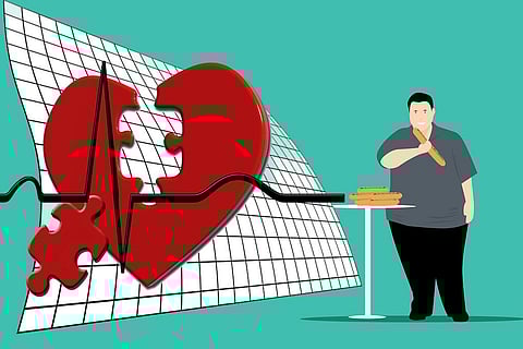 मोटापे और हृदय रोग से निपटने के लिए यूटीएसए के शोधकर्ताओं ने खोजा नया उपचार