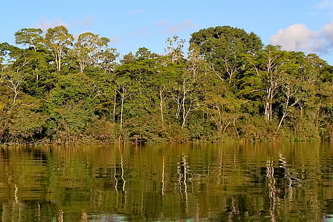 फोटो : विकिमीडिया कॉमन्स