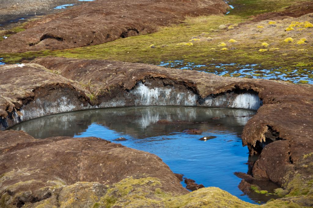 Permafrost peatlands in Europe, western Siberia nearing tipping point: Study