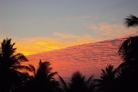 फोटो : विकिमीडिया कॉमन्स