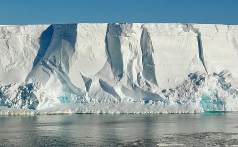 In the dark, freezing ocean under Antarctica’s largest ice shelf, we discovered a thriving microbial jungle