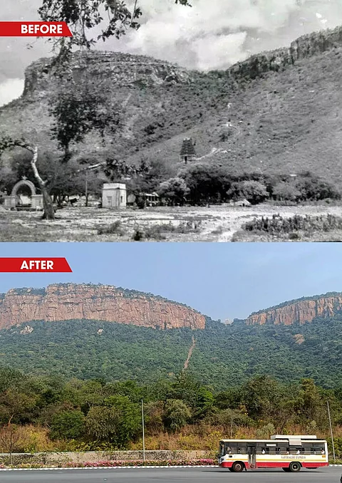 The denuded Tirupati-Tirumala Hills in the 1980s (top) and after four decades of eco-restoration (bottom). Botton photo by R Sreenivasa Murthy