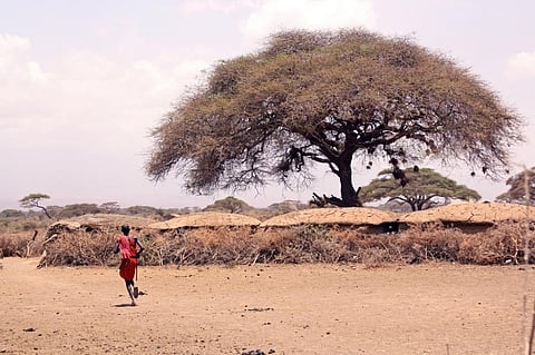 Drought in Kenya: Nearly 3.5 million people are hungry, says UN