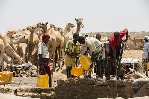 Somalia: Drought forced more than 450,000 people from their homes this year