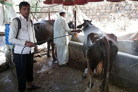 फोटो: विज्ञान और प्रौद्योगिकी मंत्रालय