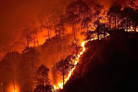 सदी के अंत तक 50 फीसदी और बढ़ जाएगी जंगल में आग लगने की घटनाएं